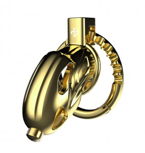 LOCKINK - Sevanda Outlaw Urethral Sounding Chastity Cage (Gold)